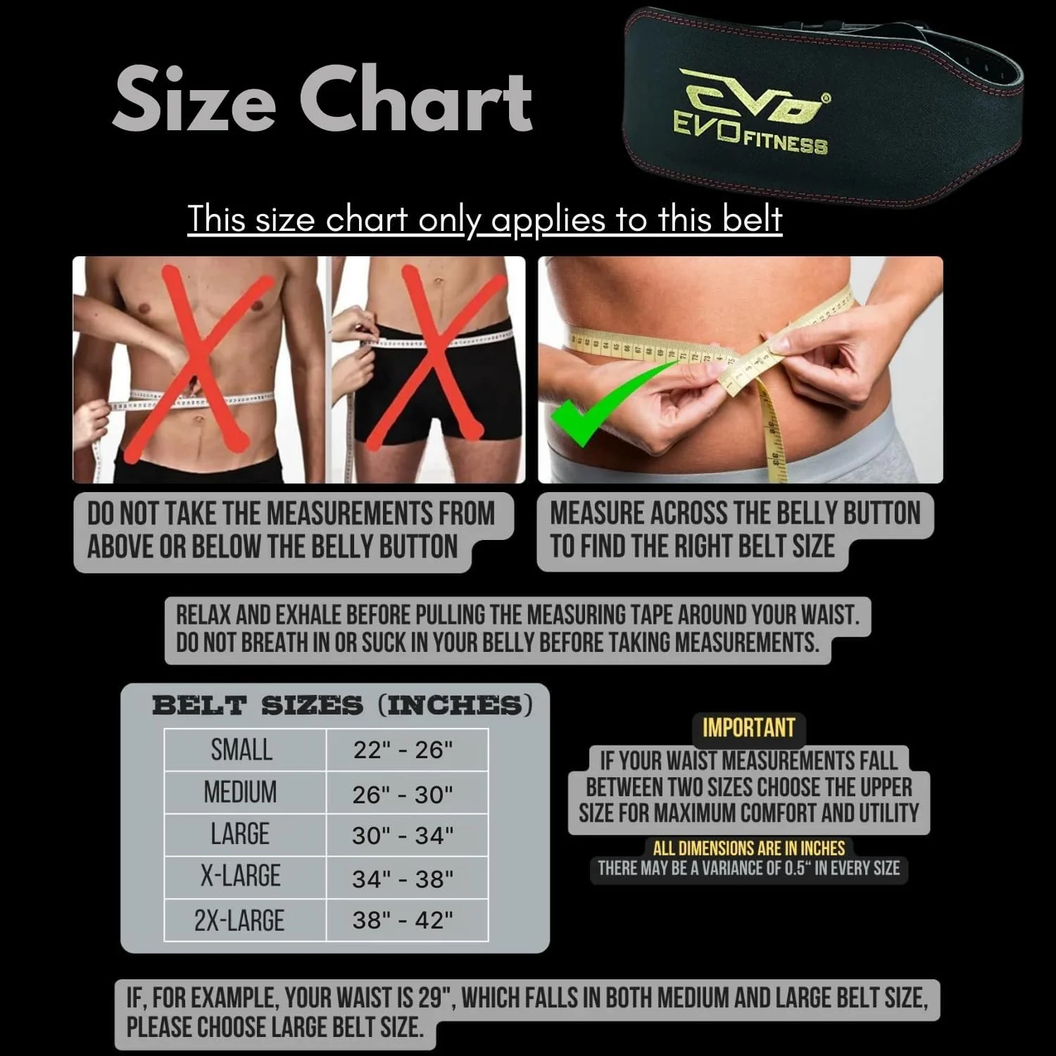 EVO 4" 6" Black PURE LEATHER GYM BELTS - Image 9