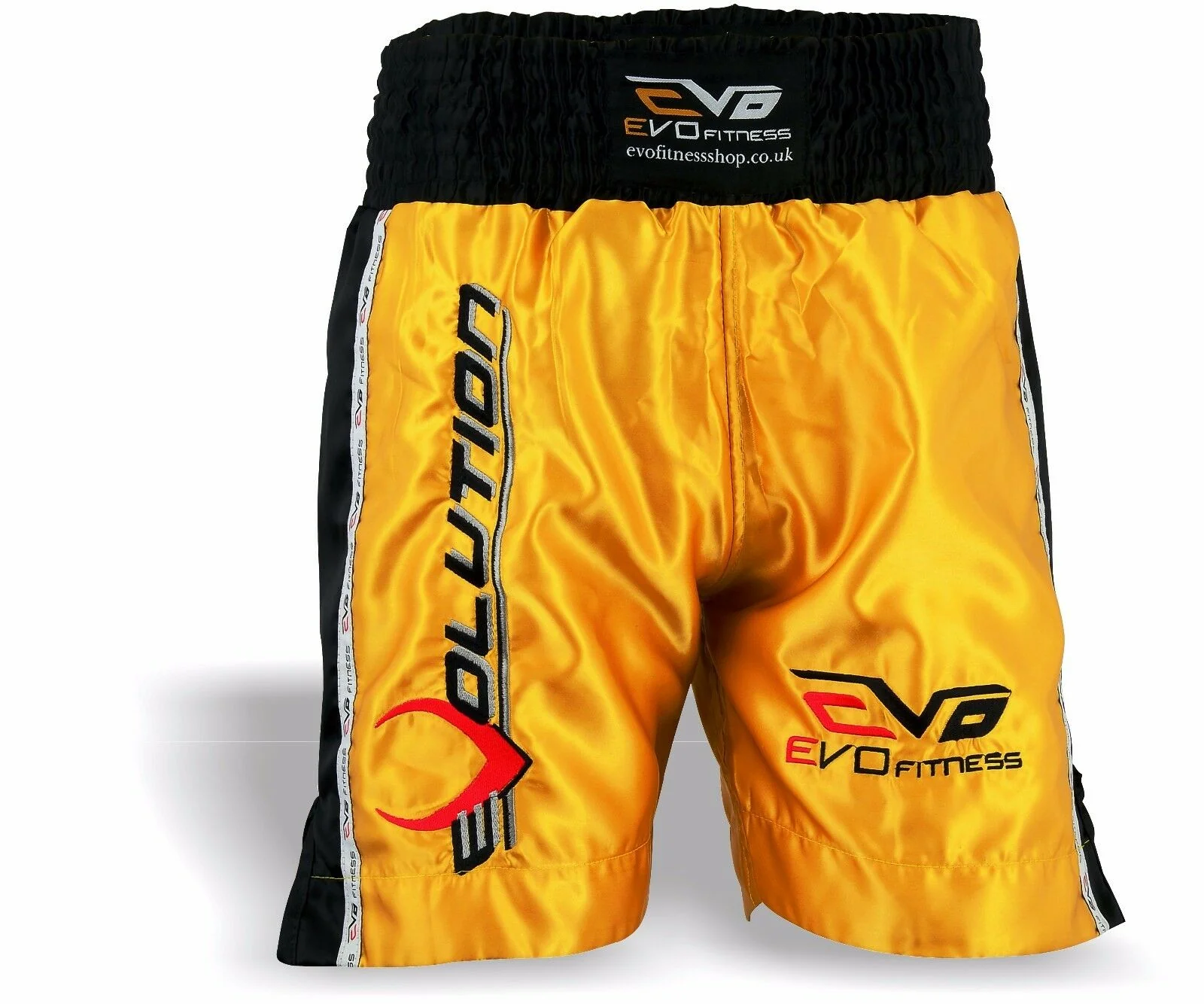 EVO Men Boxing Fight Shorts - Image 14