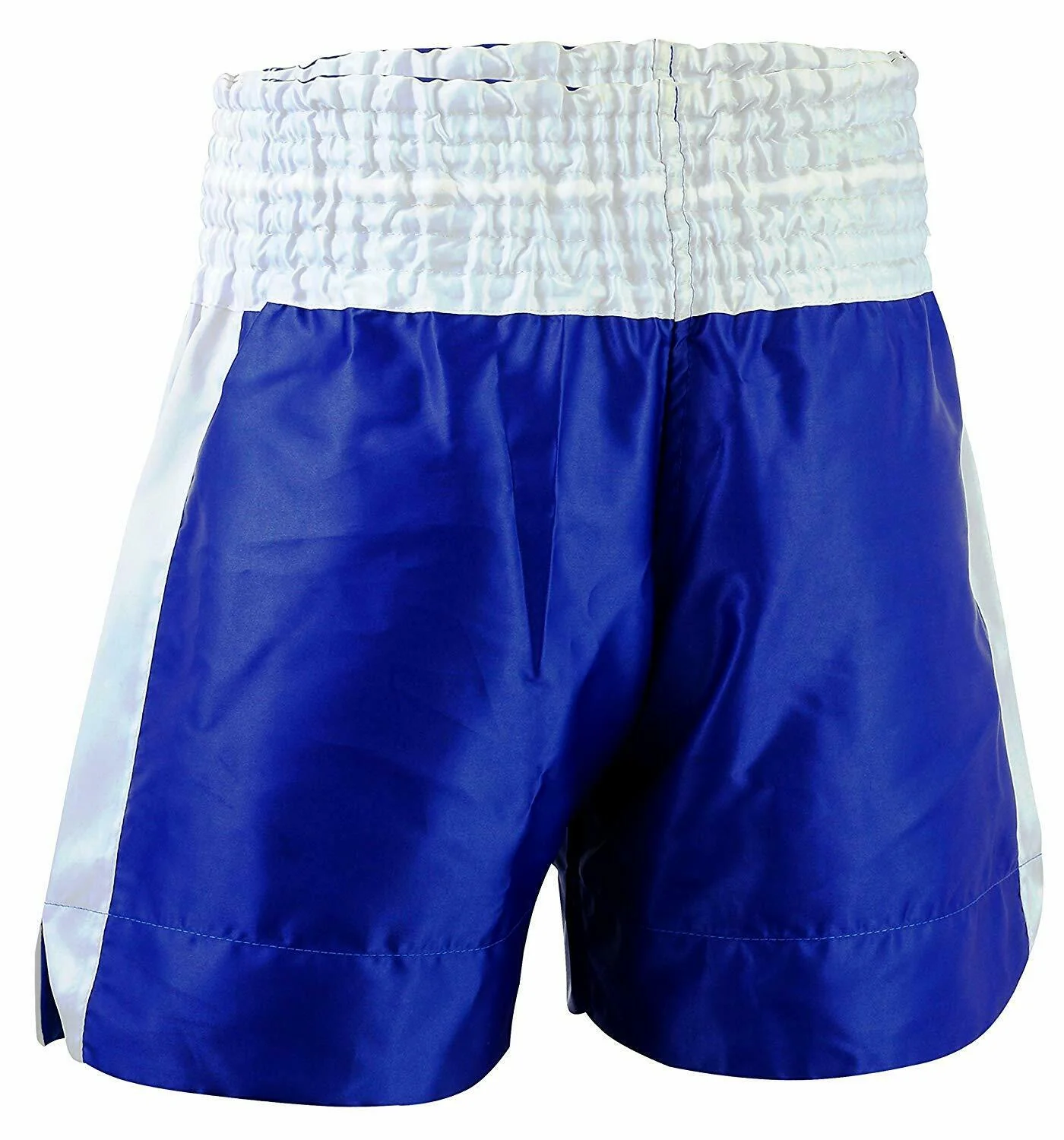 EVO Muay Thai Blue Shorts - Image 4