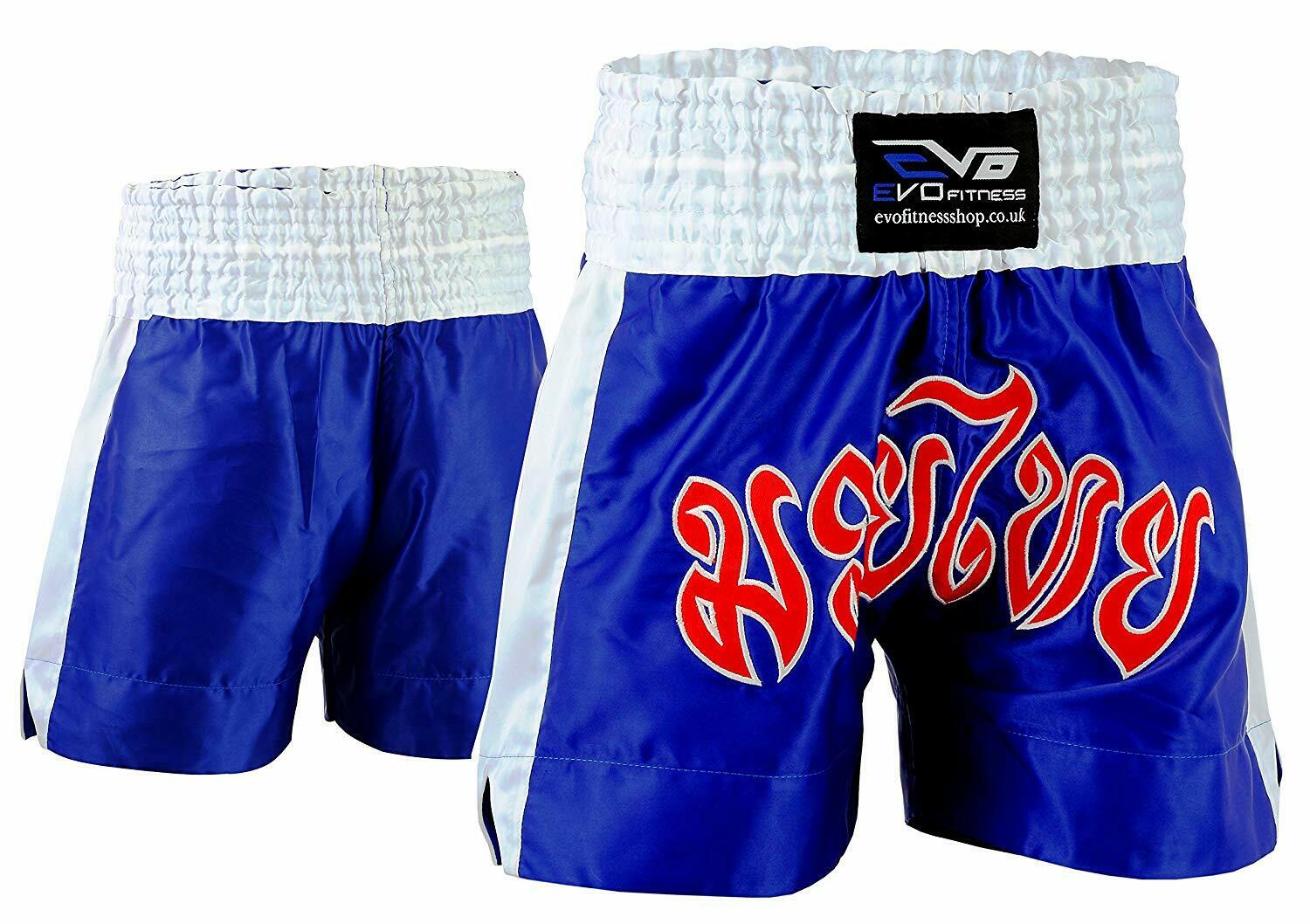 EVO Muay Thai Blue Shorts - Image 5